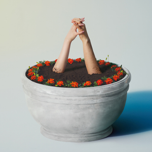 三个黑人和一个白人怎么念
